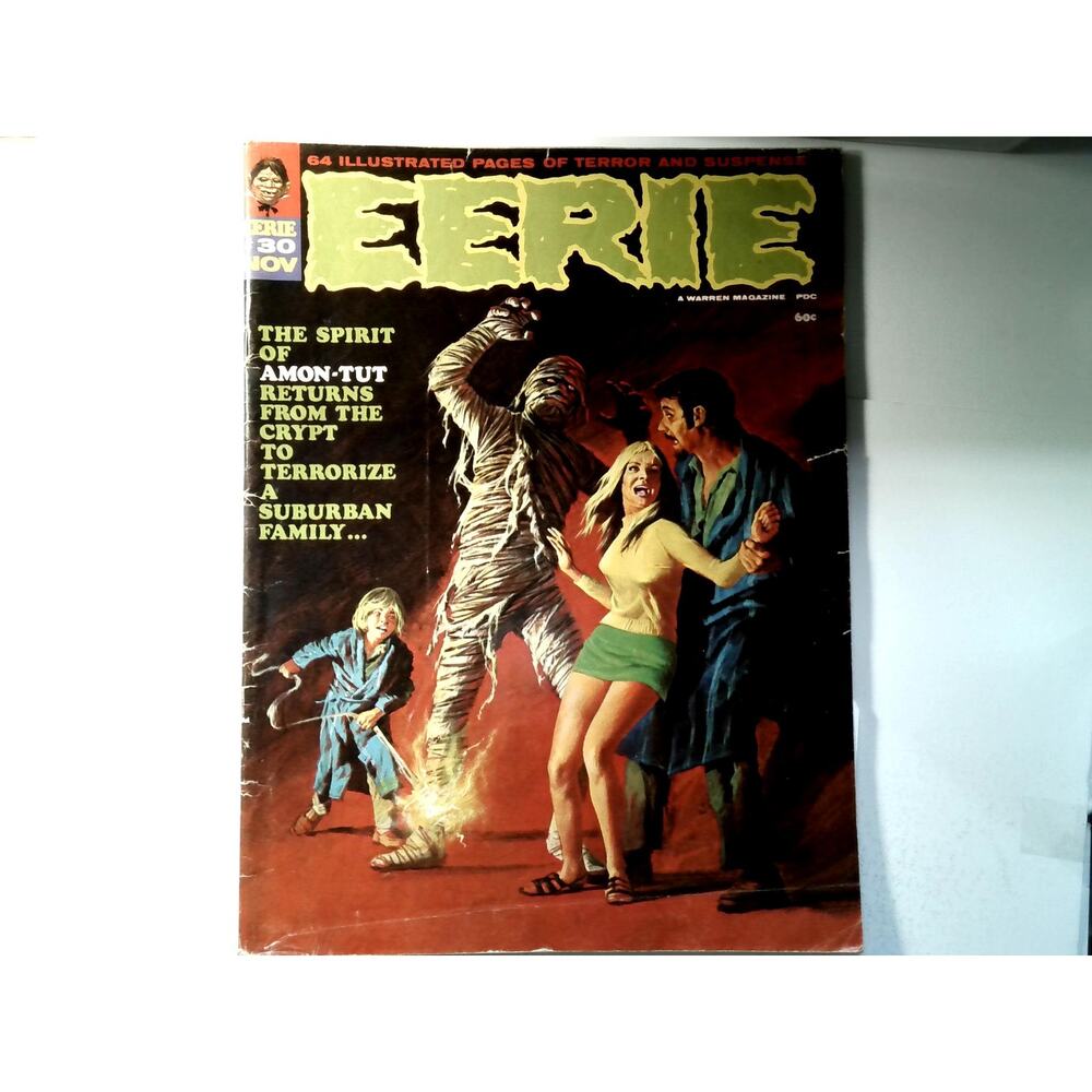 Eerie #45 Feb 1973 Warren Publishing Horror Magazine 76 Pages Monster Comic